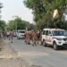 मई चौराहे पर युवक की पीट-पीटकर हत्या, गिरफ्तार