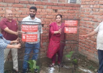 एक पेड़ माँ के नाम’ अभियान के तहत नगर पालिका ने शुरू किया वृक्षारोपण महाअभियान
