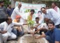 मानव जीवन के लिए पेड़-पौधे लगाना अत्यंत आवश्यक : ज्ञान प्रकाश सिंह