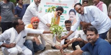 मानव जीवन के लिए पेड़-पौधे लगाना अत्यंत आवश्यक : ज्ञान प्रकाश सिंह