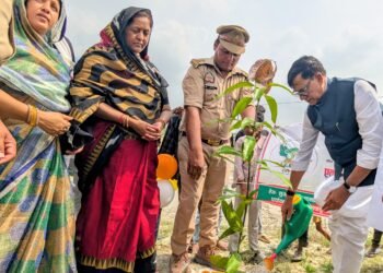 पौधे लगाना ही पर्याप्त नहीं उन्हें संरक्षित रखना भी हमारी जिम्मेदारी: कृपाशंकर सिंह