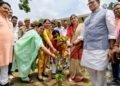 वृक्ष मानव जीवन का आधार हैं: कृपाशंकर सिंह